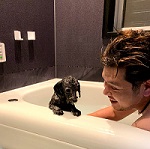WEB屋のアバター